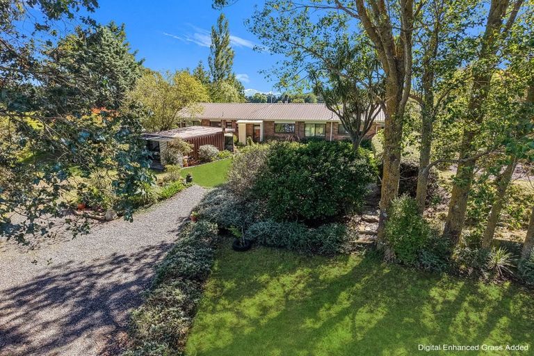 Photo of property in 42 Mina Road, Cheviot, 7382