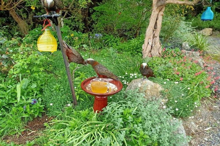 Photo of property in 806 Mount Cargill Road, Mount Cargill, Waitati, 9085