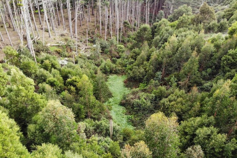 Photo of property in 257 Polson Hill Drive, Aokautere, 4471