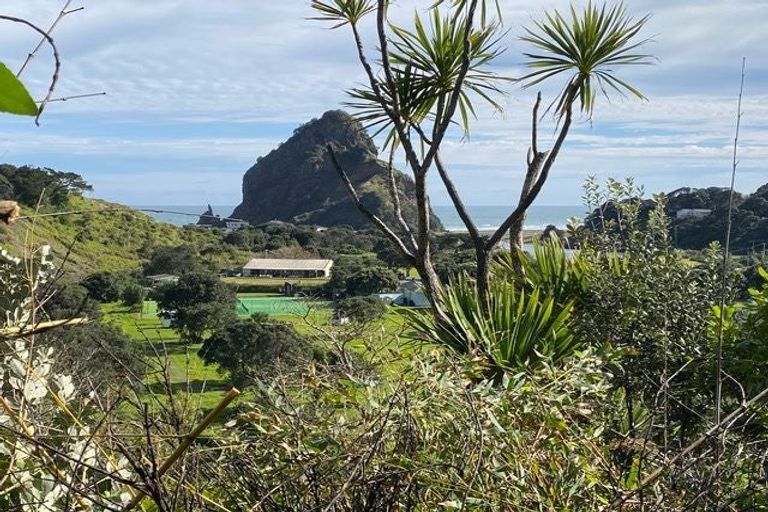 Photo of property in 52 Seaview Road, Piha, 0772