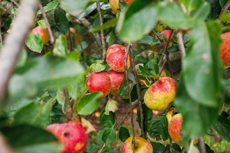 Photo of property in 28 Henare Street, West End, Palmerston North, 4412