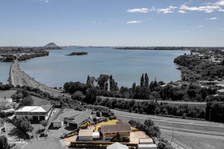 Photo of property in 9 Taumata Place, Hairini, Tauranga, 3112