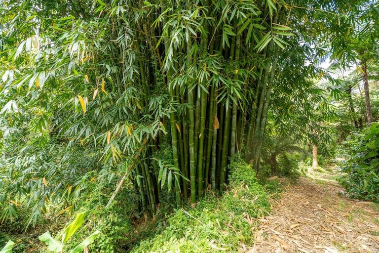 Photo of property in 189 Waikino Road, Karetu, Kawakawa, 0283