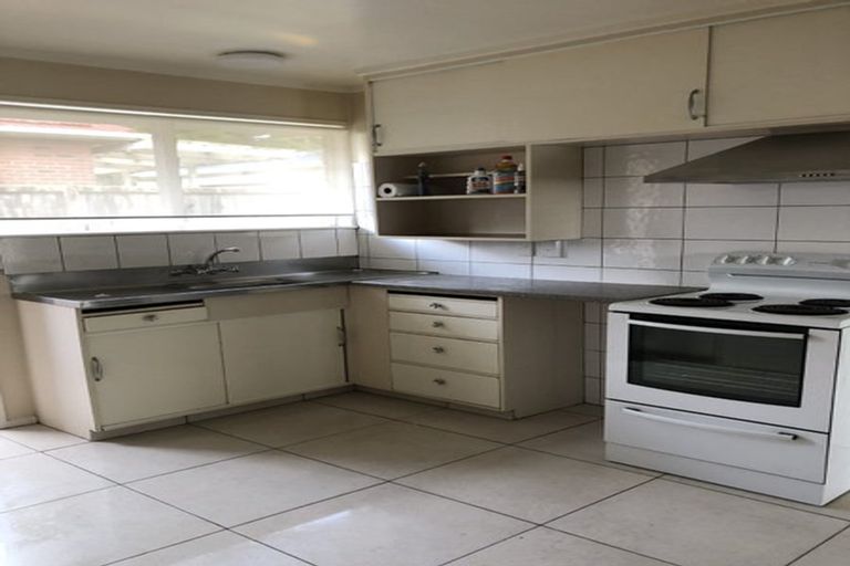 Photo of property in 52 Buscomb Avenue, Henderson, Auckland, 0610