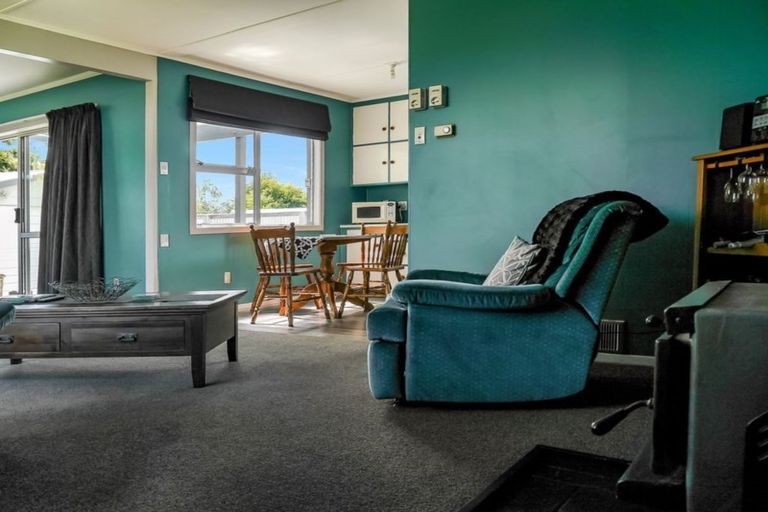 Photo of property in 19 Hopkins Road, Twizel, 7901