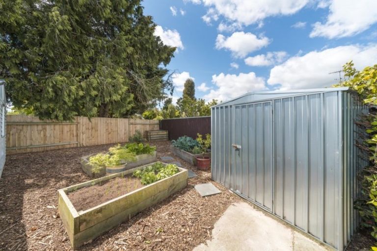 Photo of property in 32 Snowdon Avenue, Terrace End, Palmerston North, 4410