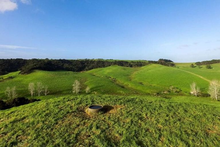 Photo of property in 161 Tara Road, Mangawhai, Kaiwaka, 0573