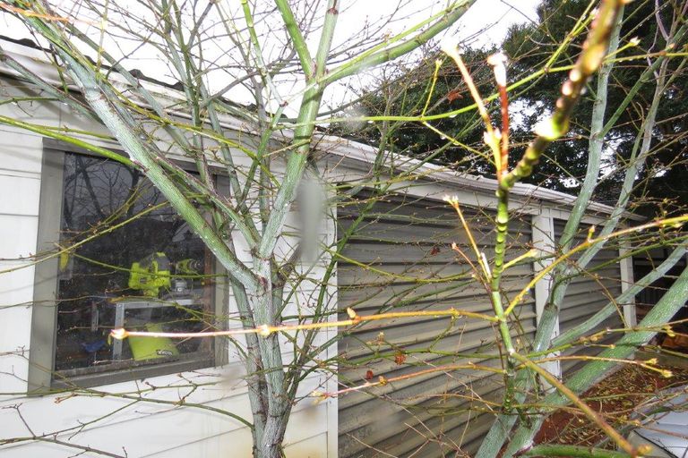 Photo of property in 72 Mary Street, Richmond, Invercargill, 9810