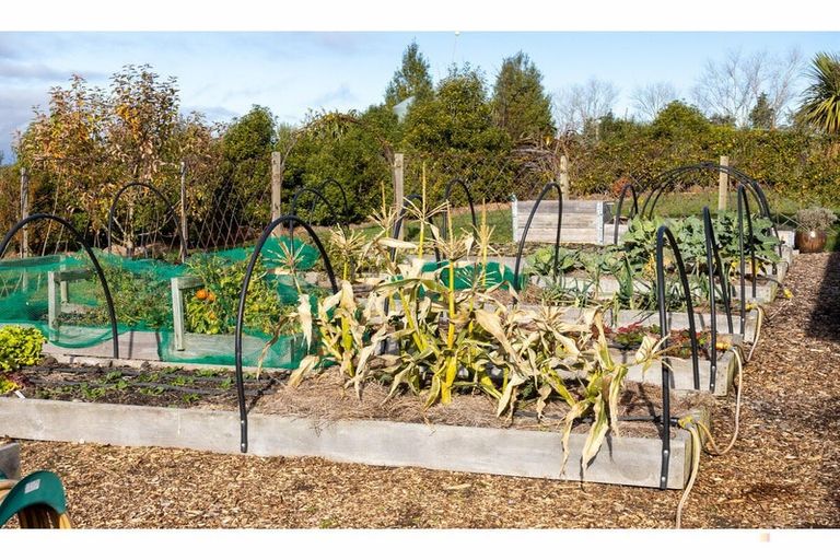 Photo of property in 56 Greenvale Road, Geraldine, 7991