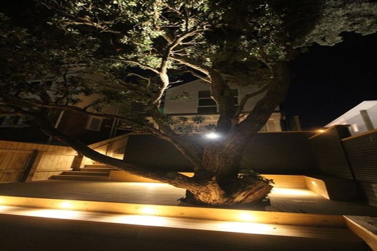 Photo of property in 44 Thompson Street, Mount Cook, Wellington, 6011