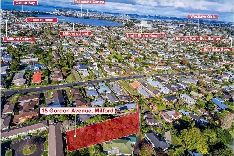 Photo of property in 15 Gordon Avenue, Forrest Hill, Auckland, 0620