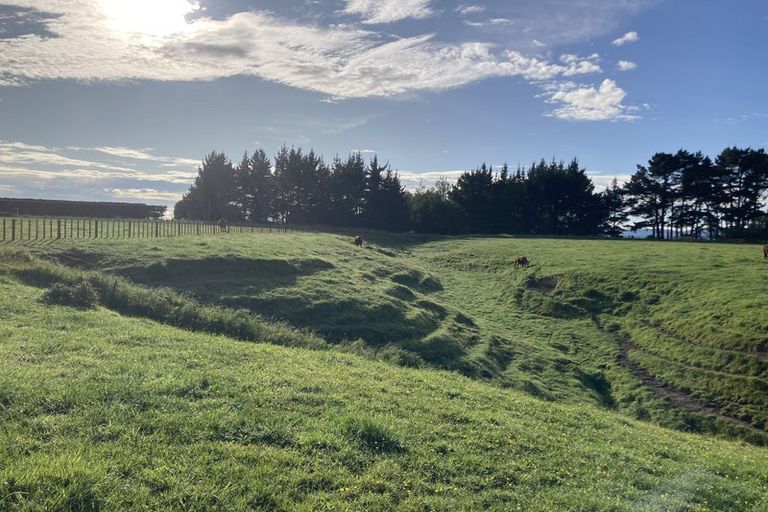 Photo of property in 192 Cole Road, Rongotea, Palmerston North, 4476