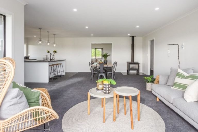 Photo of property in 175 Spur Road West, Colyton, Feilding, 4775