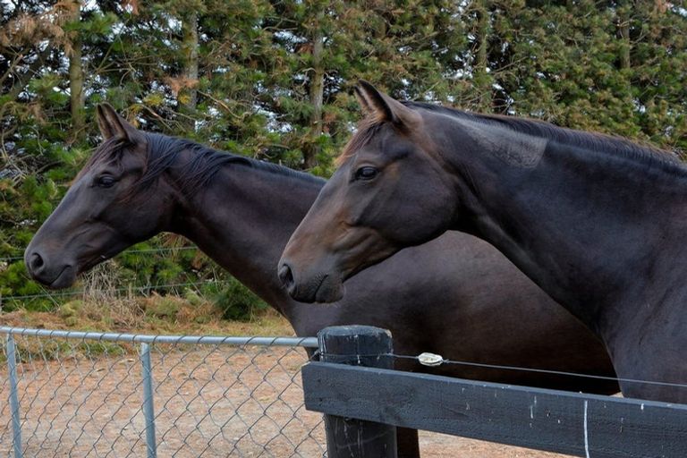 Photo of property in 646 Grange Road, Burnham, Christchurch, 7677