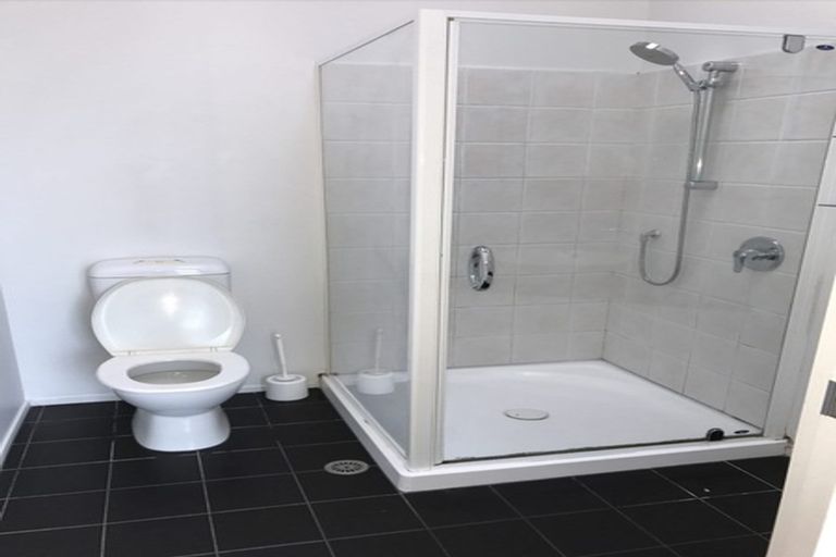 Photo of property in The Lofts, 53/185 Victoria Street, Te Aro, Wellington, 6011