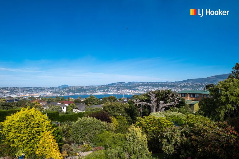 Photo of property in 115 Belford Street, Waverley, Dunedin, 9013