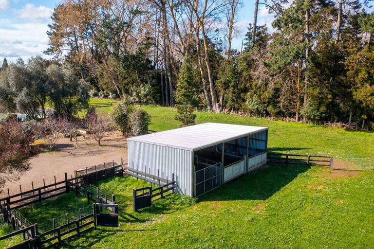 Photo of property in 87b Fuchsia Lane, Tamahere, Hamilton, 3284