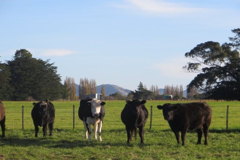 Photo of property in 3245 State Highway 2, Takapau, Waipukurau, 4281