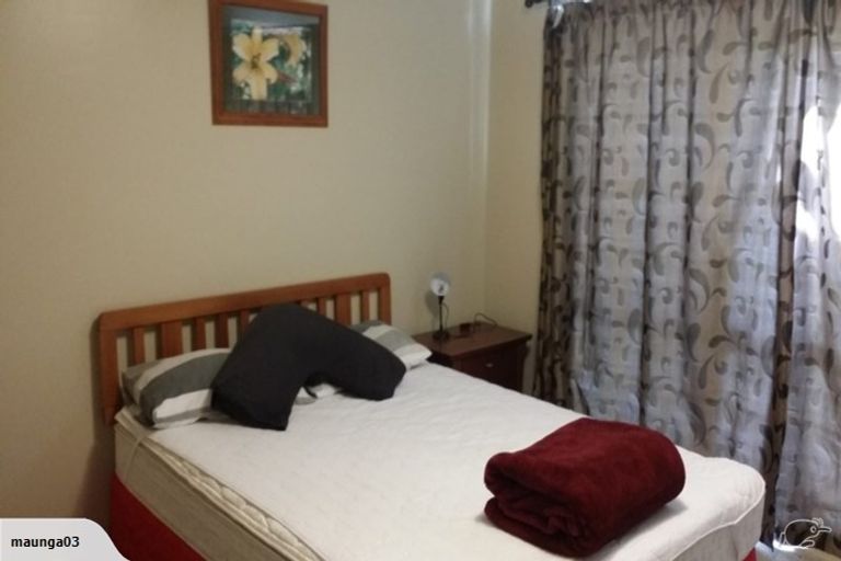 Photo of property in 1212 Kaipaki Road, Cambridge, 3495