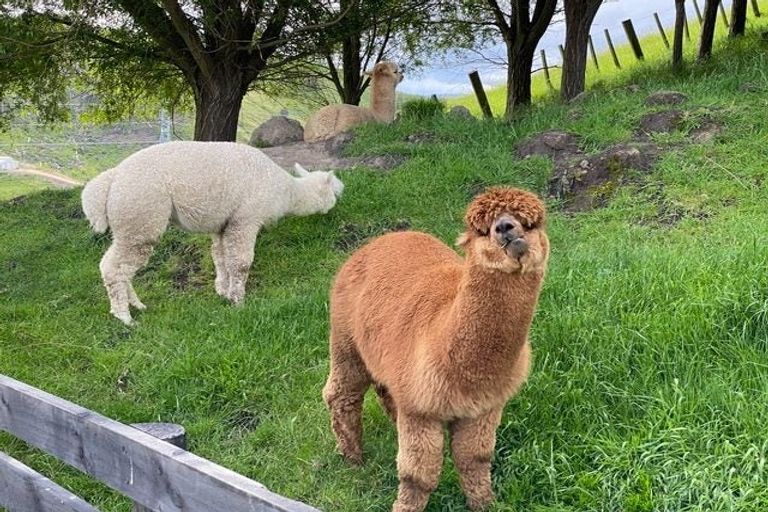 Photo of property in 204 Eskridge Drive, Eskdale, Napier, 4182