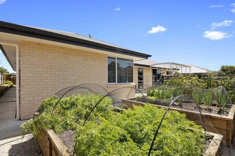 Photo of property in 13a Harriet Court, Richmond, 7020