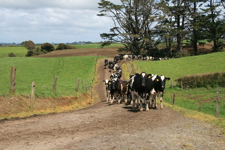 Photo of property in 343 Opunake Road, Cardiff, Stratford, 4391