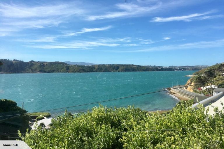 Photo of property in 37 Maida Vale Road, Roseneath, Wellington, 6011