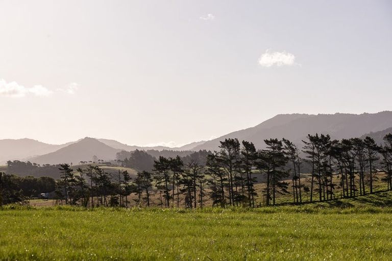 Photo of property in 55 Cullen Street, Mangawhai Heads, Mangawhai, 0505