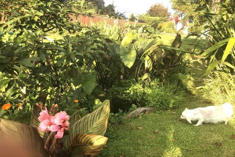 Photo of property in 72 Roberts Street, Waihi, 3610