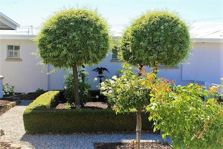 Photo of property in 12 Bantry Street, Alexandra, 9320