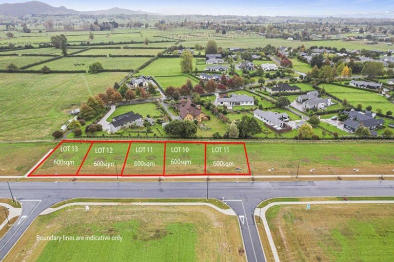 Photo of property in 44 Peakedale Drive, Matamata, 3400