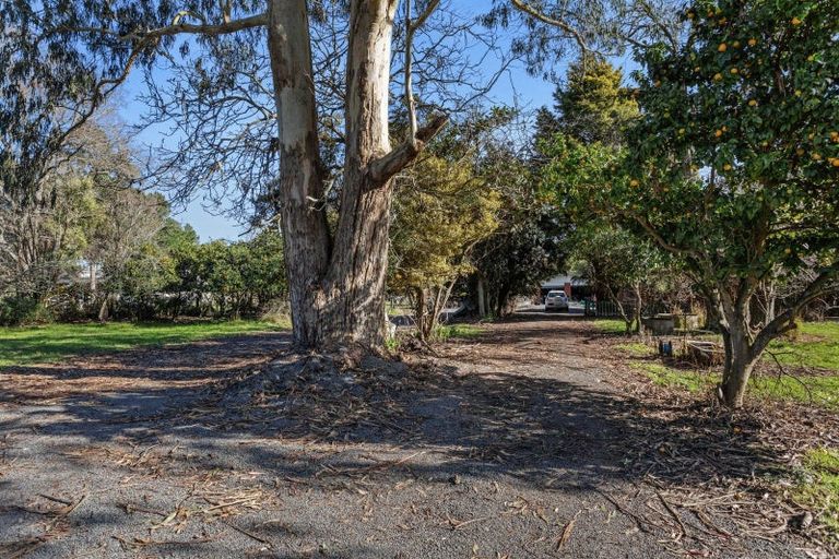 Photo of property in 54 Lewis Road, Otakiri, Whakatane, 3193