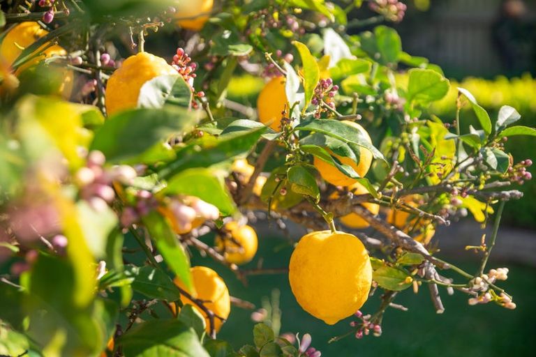 Photo of property in 450 Te Moana Road, Waikanae, 5036