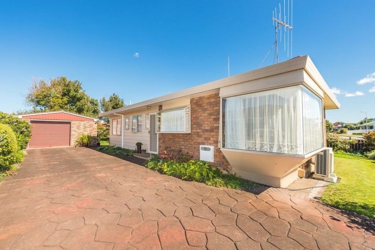 Photo of property in 53 Treadwell Street, Springvale, Whanganui, 4501
