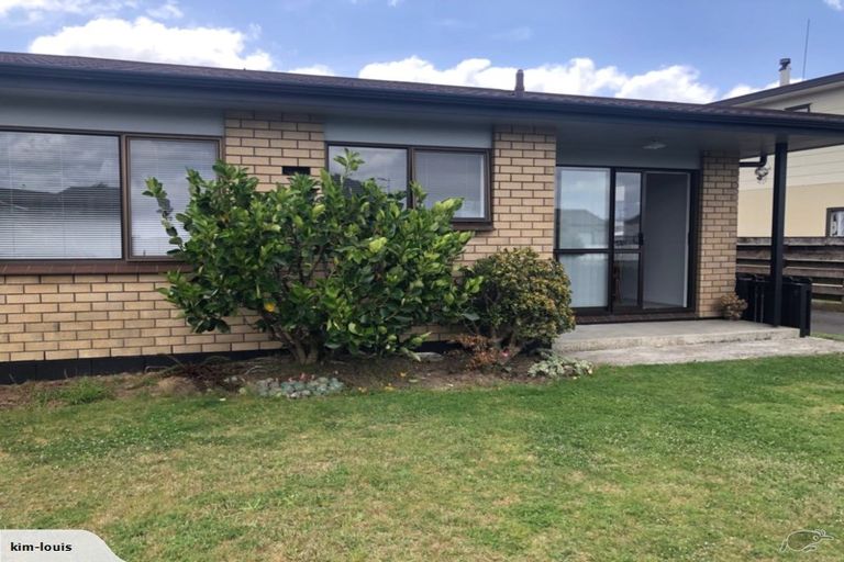 Photo of property in 21a Matavai Street, Mount Maunganui, 3116