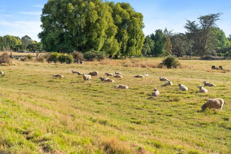 Photo of property in 243c Manaia Road, Homebush, Masterton, 5885