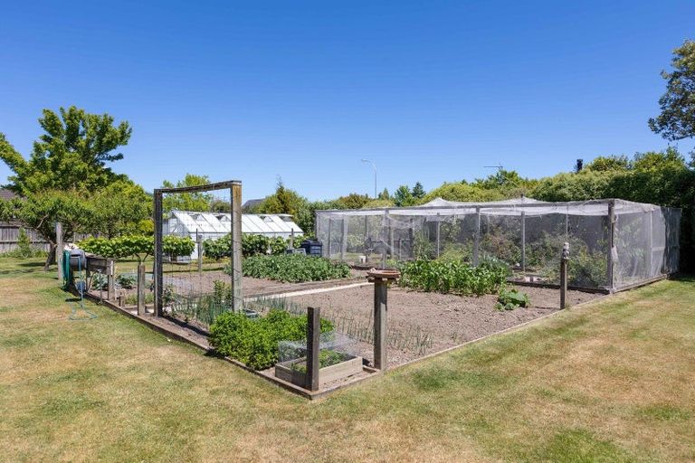 Photo of property in 20 Taranaki Drive, Woodend, 7610