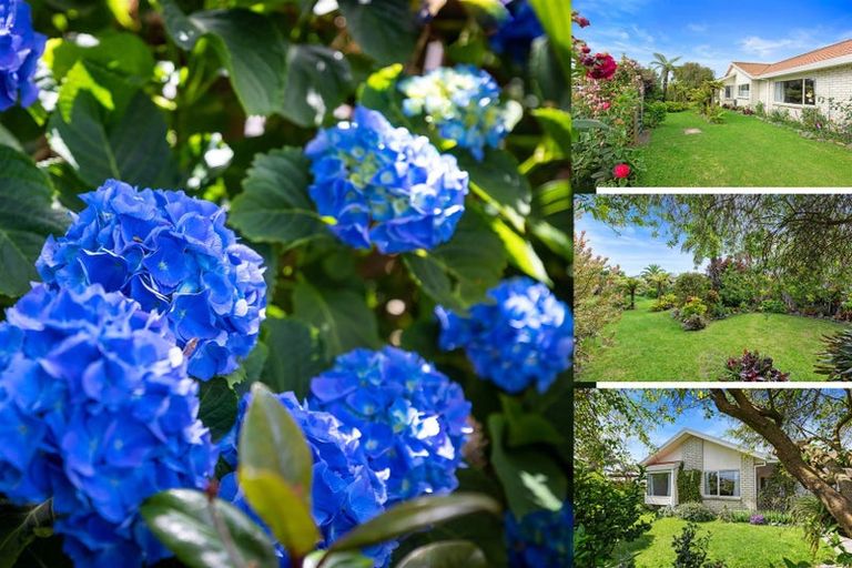 Photo of property in 4 Liftan Place, Mount Maunganui, 3116