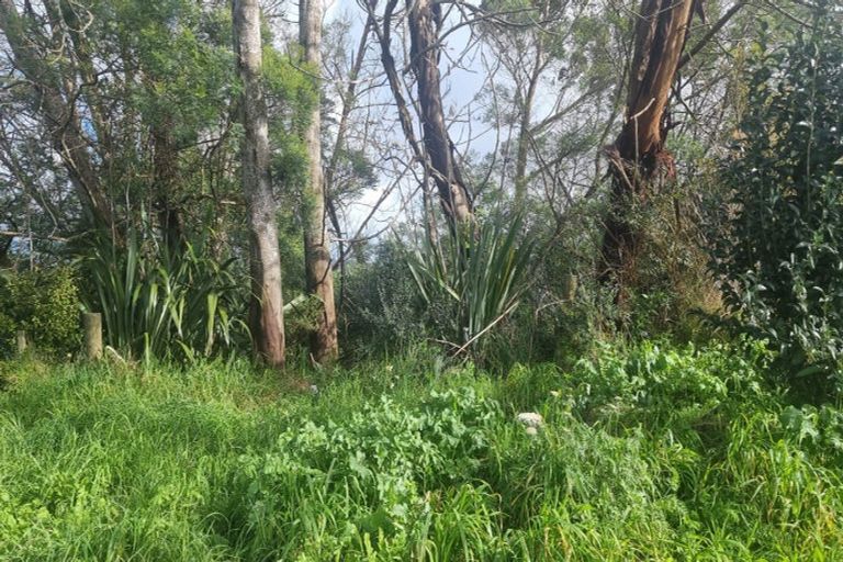 Photo of property in 32 Tiriwa Drive, Massey, Auckland, 0614