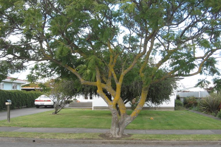 Photo of property in 13 Morgan Avenue, Marewa, Napier, 4110