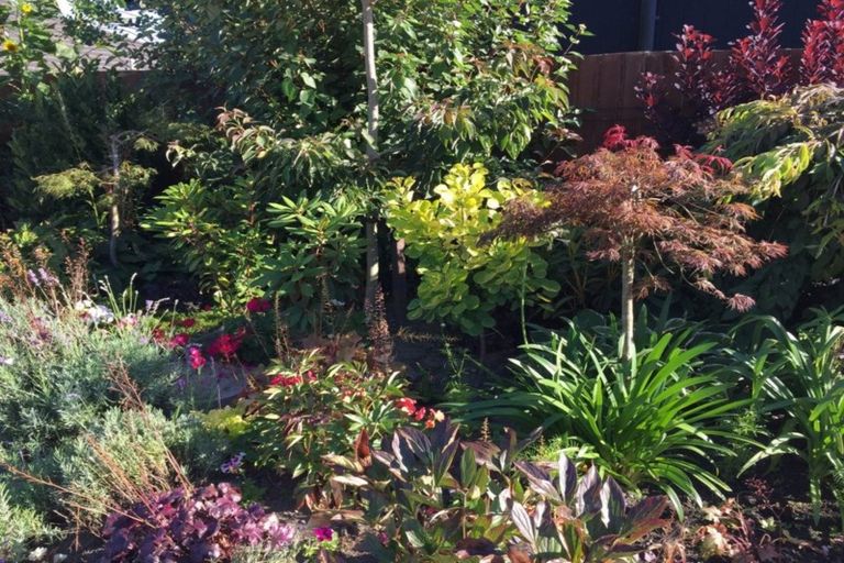 Photo of property in 83 Te Korari Street, Marshland, Christchurch, 8083