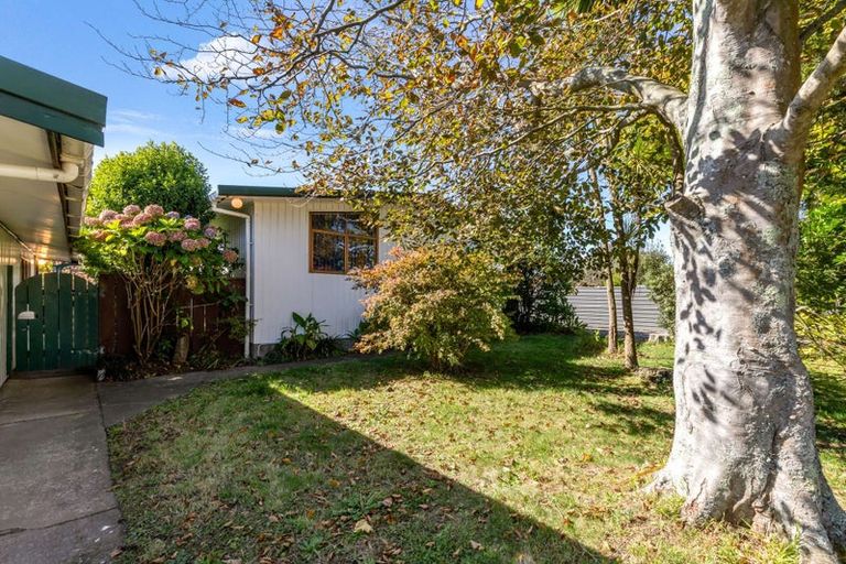 Photo of property in 41 Avenue Road, Foxton, 4814