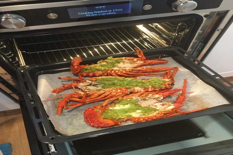 Photo of property in 88 Opito Bay Road, Opito Bay, Whitianga, 3592