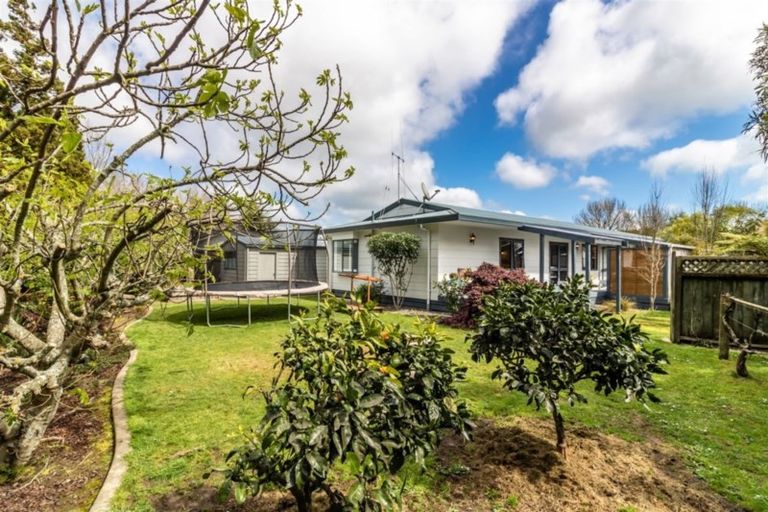 Photo of property in 25 Meridian Place, Flagstaff, Hamilton, 3210