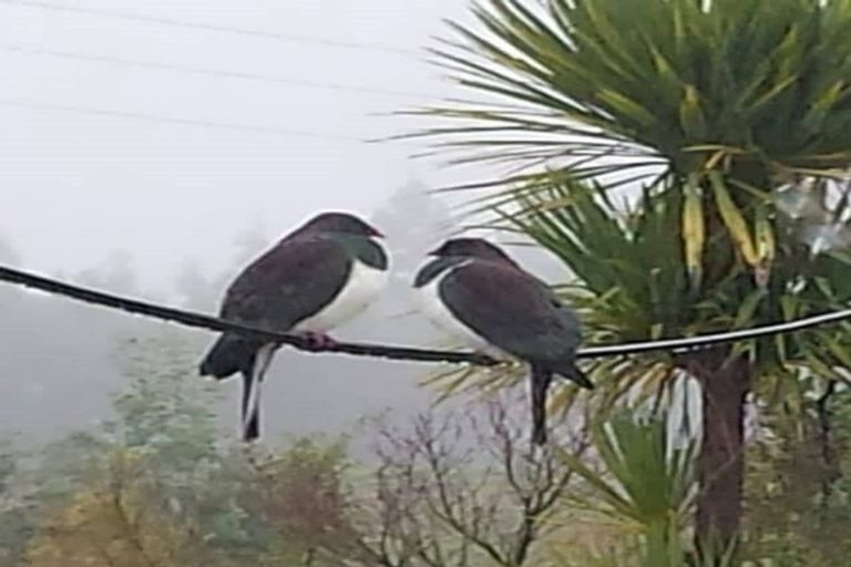 Photo of property in 1114 Takaka Hill Highway, Takaka Hill, 7198