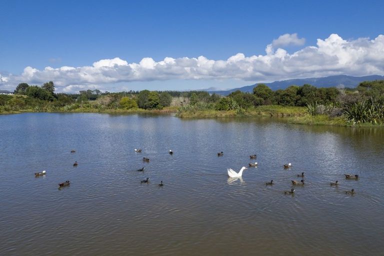 Photo of property in 2195d State Highway 2, Aongatete, Katikati, 3181