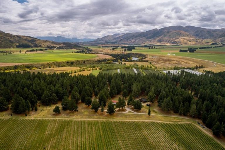 Photo of property in 411a Maori Point Road, Tarras, Cromwell, 9383