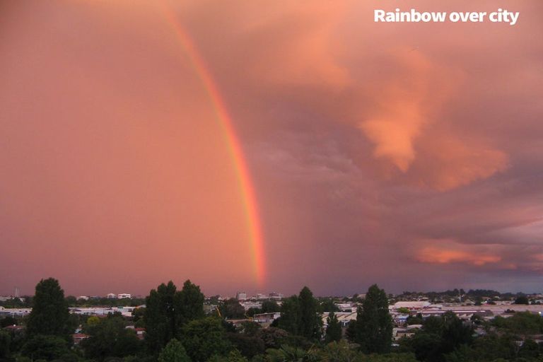 Photo of property in 51 Ellicott Road, Nawton, Hamilton, 3200