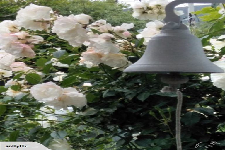 Photo of property in 39 Penrose Street, Woburn, Lower Hutt, 5010