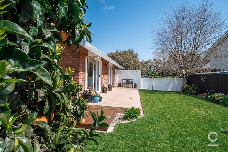 Photo of property in 77 Matua Road, Matua, Tauranga, 3110